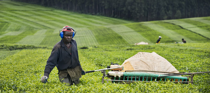 2012-Voedselzekerheid