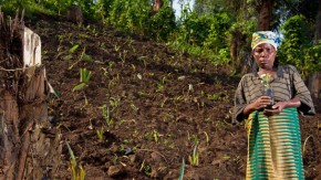 2012-ontbossing en de oplossing