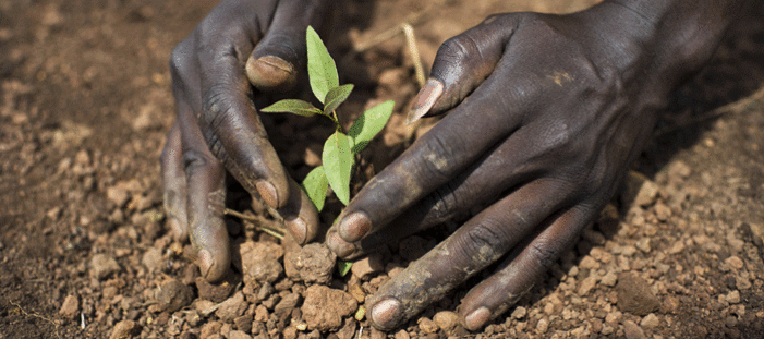 2013-Maatschappelijk Verantwoord Ondernemen 2.0