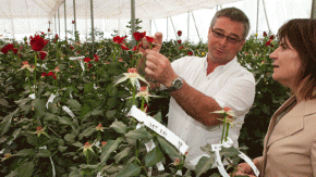 2013-Nederlanders en Draagvlak voorOS-Nieuw beleid nieuwe kansen