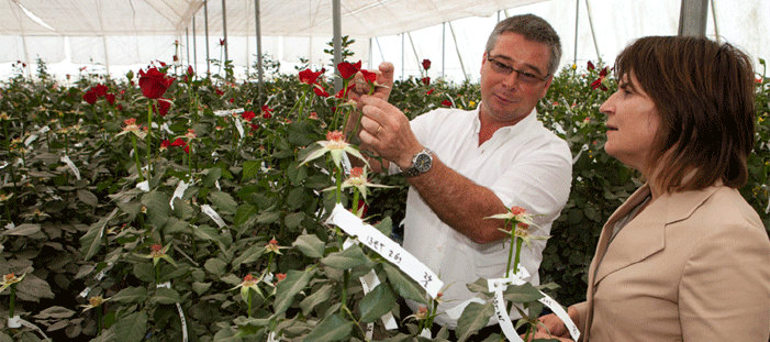 2013-Nederlanders en Draagvlak voorOS-Nieuw beleid nieuwe kansen