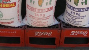 2013-Partnerschappen tussen NGO's en bedrijven