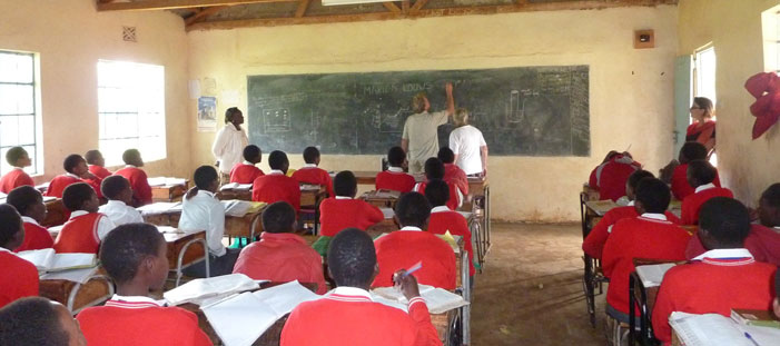 2014-Klein&vrijwillig- Sara Kinsbergen