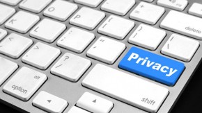 2014-Nederlanders en privacy in de 21ste eeuw