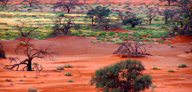 Image by Geof Wilson