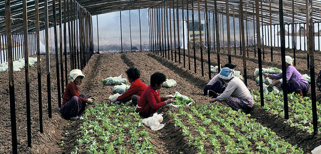 World Bank Photo Collection