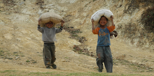 Tying public procurement to human rights standards