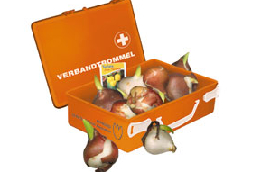 Issue 6: The Dutch treatment: Diagnosis and cure - The right medicine?