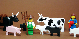 What’s next on Livestock, Climate Change and Food Security? 