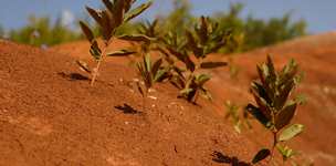 Commission explores threats of climate change to food security