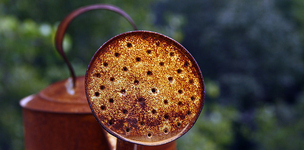 Capacity Development as a core element in development efforts?