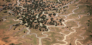 Narrowing the gap between the UN and Malians