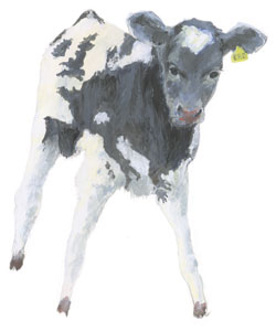 Issue 8: Wobbly legs: Europe's tentative steps into the big wide world