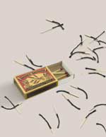 Issue 15: The next inconvenient truth: Peak phosphorus