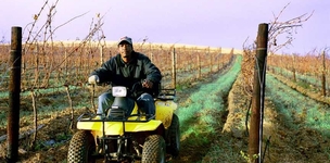 PPPs: listen to the farmers