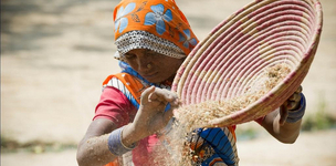 Research can make or break rainfed farming