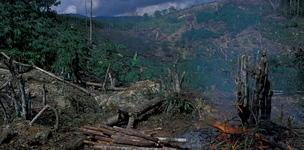 The tragedy of the deprived