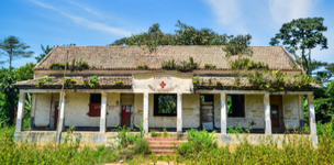 Three perspectives on social protection