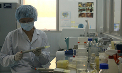 Science has to communicate to policy makers