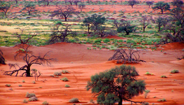 Preoccupations about wellbeing matter little in Africa