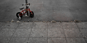 Support for SMEs: lucrative or futile?