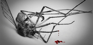 Donors preach more than they practice  