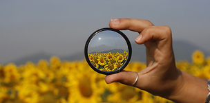 IATI and South-South cooperation