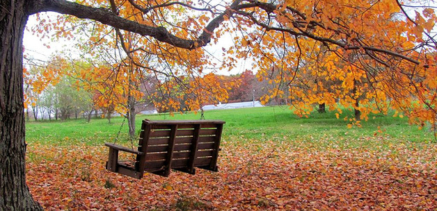 Photo by Universal Pops