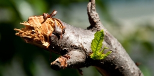 A discipline in search of boundaries