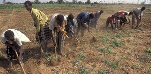 “Youth power”: cashing in on Africa’s demographic dividend