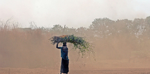 Don’t blame the drought