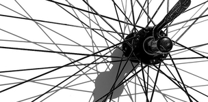 Complexity science as an ‘insight engine’ 