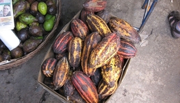 It’s about capabilities, not products