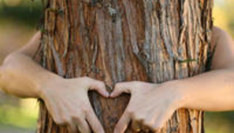 The gravitational pull toward formality