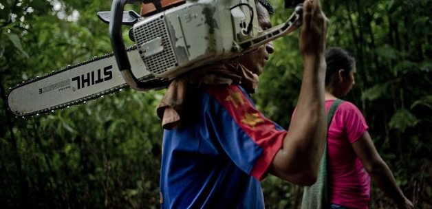 Power dynamics and natural resources