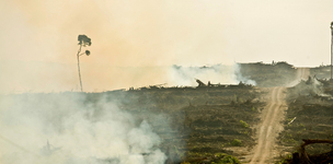 Acaparamiento de tierra en Colombia