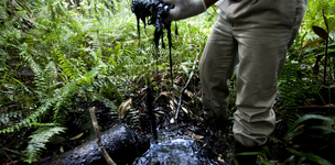 Rights versus resources in the Amazon