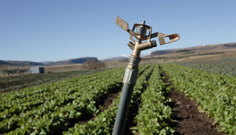 Global mechanism for sustainable water management