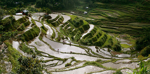 Video: three impact studies on WOPs in Asia