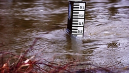 Climate change, risks and swarm planning