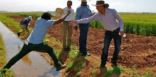 The challenge of the social partnership