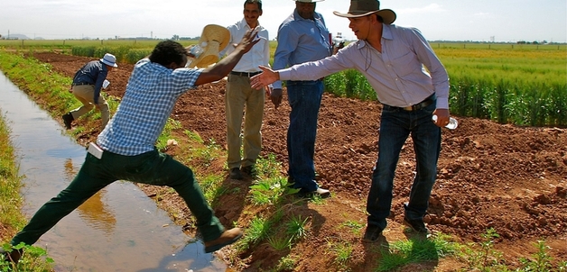 Partnership, core of our work / A. Yahyaoui/CIMMYT via Flickr