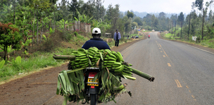 Towards a food secure world