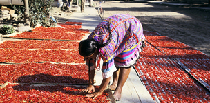 Investing in an inclusive and resilient society