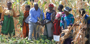 Knowledge deliberately withheld from farmers