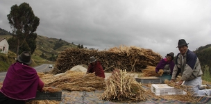 No hierarchy, equal access