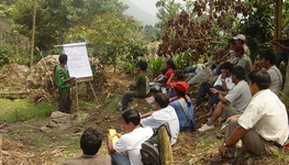 PPP consultants: blessing or curse?