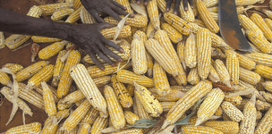 Questions every one avoids answering