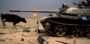 Livestock’s long shadow