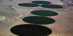 Feed yourselves first